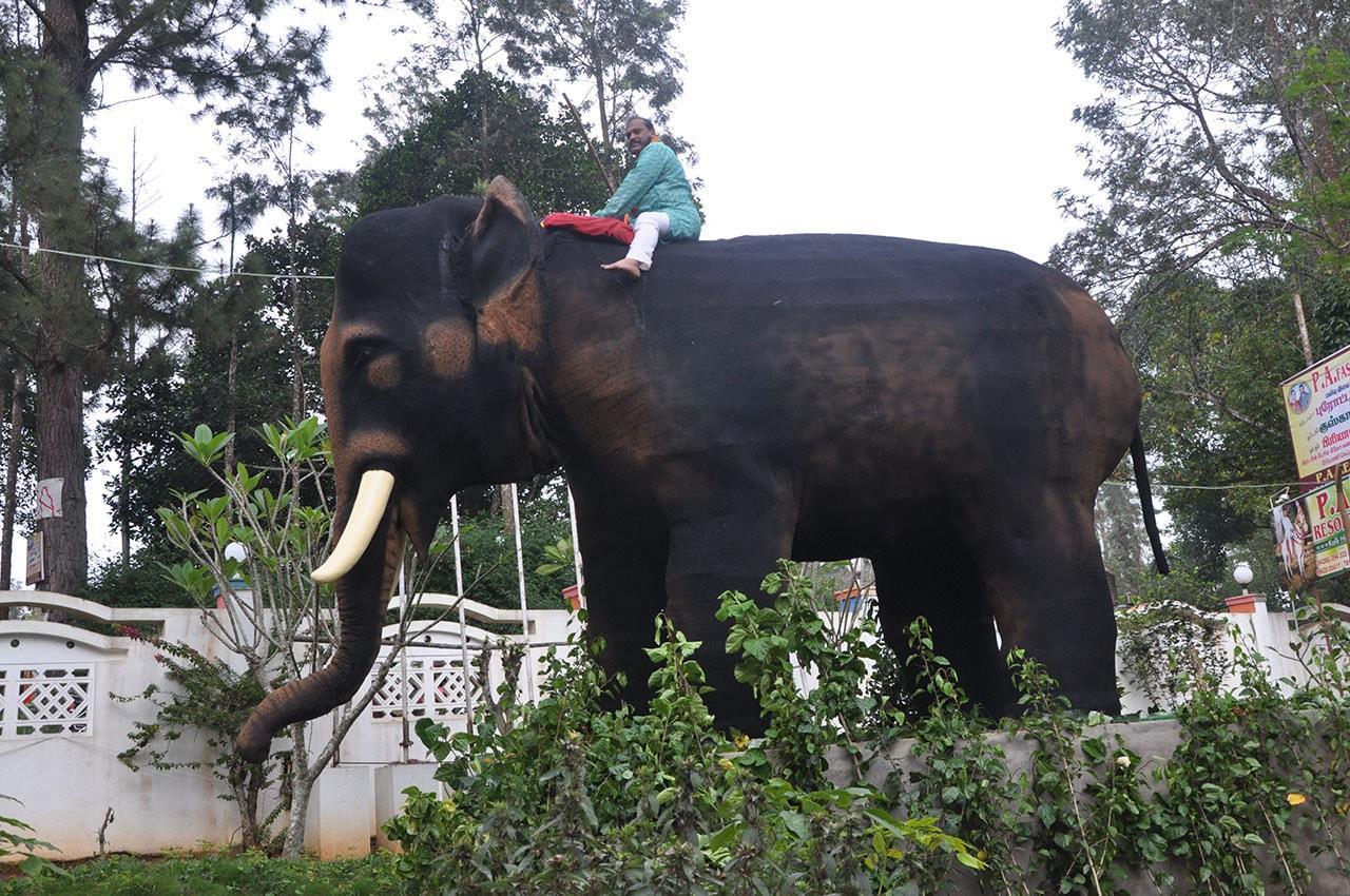P A Resort Kolli Hills Buitenkant foto